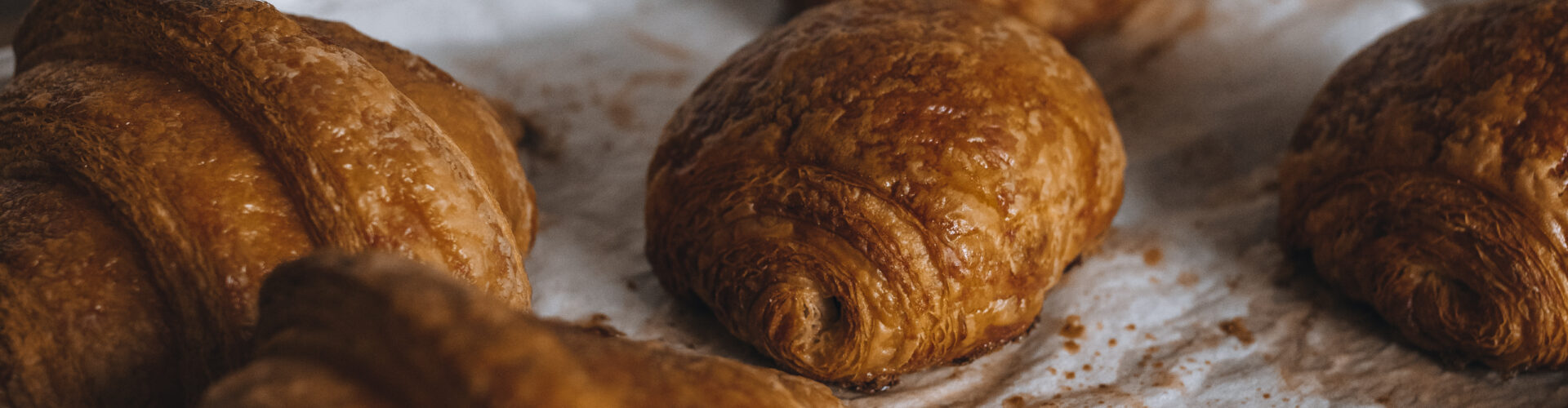 Winner Best of Windsor Essex